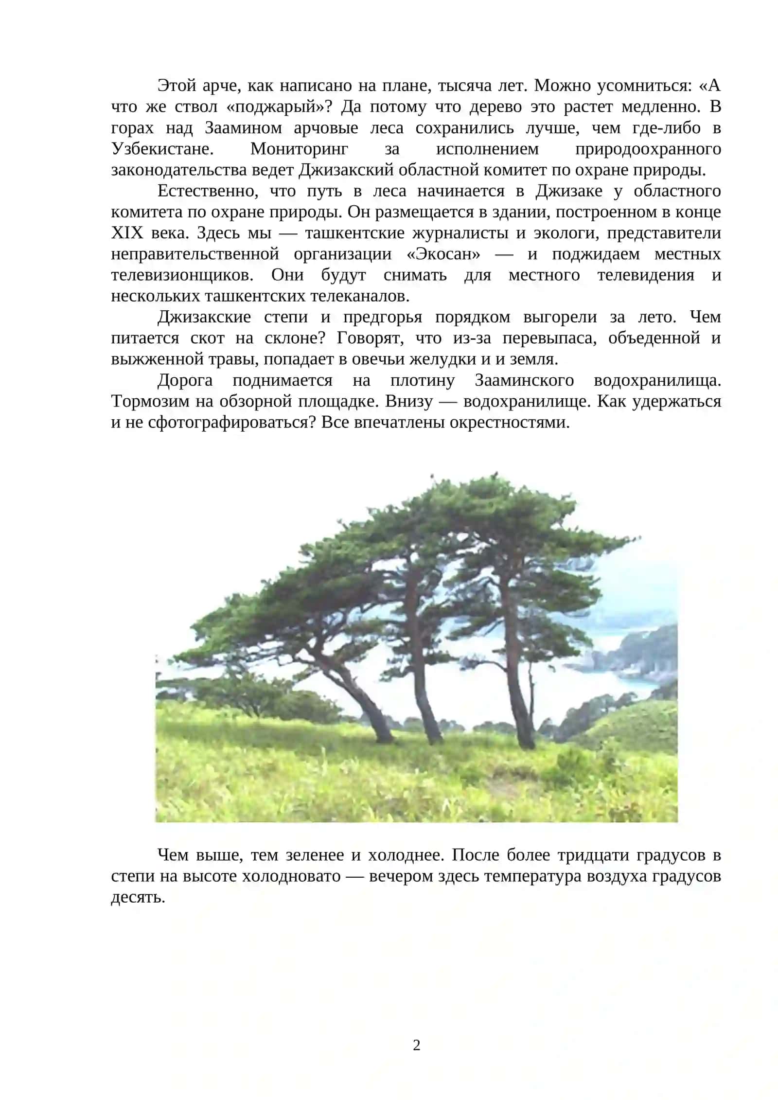 В УЗБЕКИСТАНЕ РАСТУЩИЕ ДЕРЕВЬЯ 2