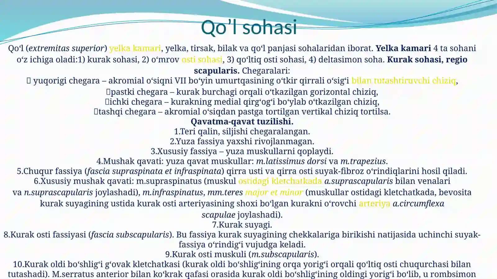 Qo’l va Oyoq sohasi anatomiyasi 2