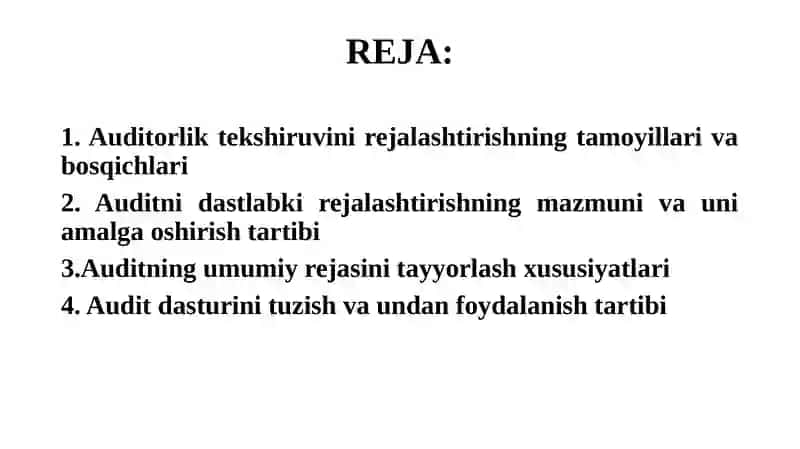 AUDITORLIK TEKSHIRUVINI REJALASHTIRISH 2