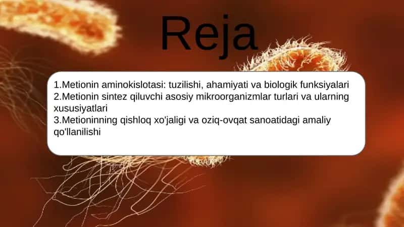 Metionin sintez qiluvchi mikroorganizmlar 2