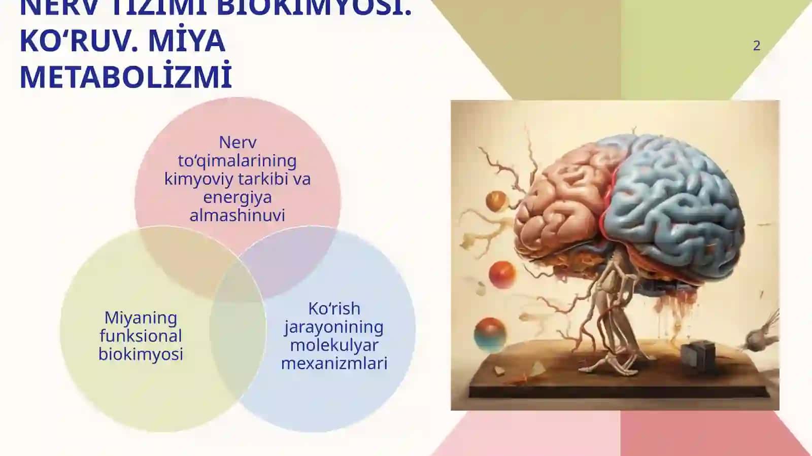 Nerv tizimibiokimyosi. Ko‘ruv. Miya metabolizmi 2