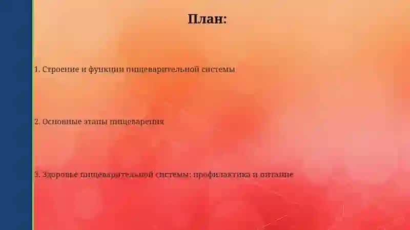 Системапищеварения 2