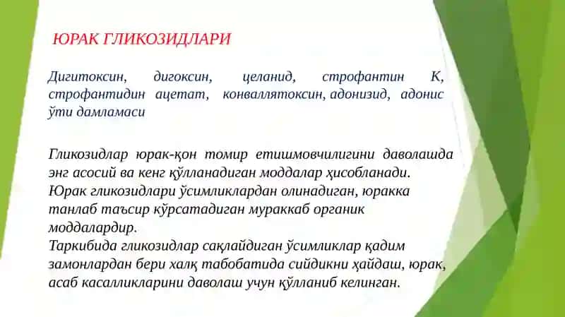 Юрак гликозидлари 2