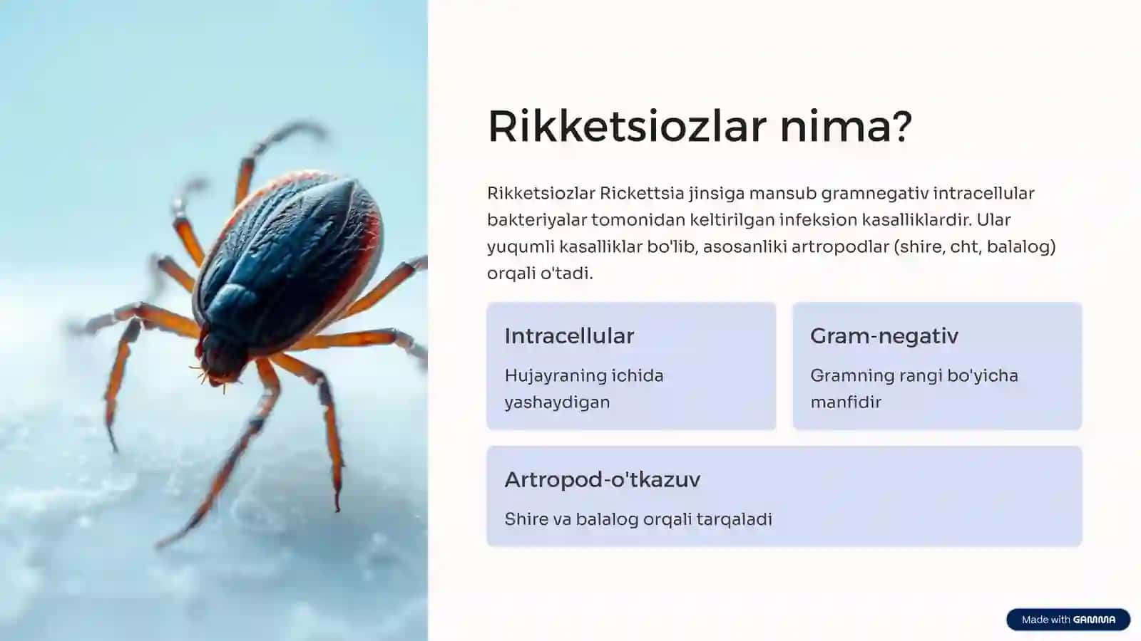 Rikketsiozlar 2