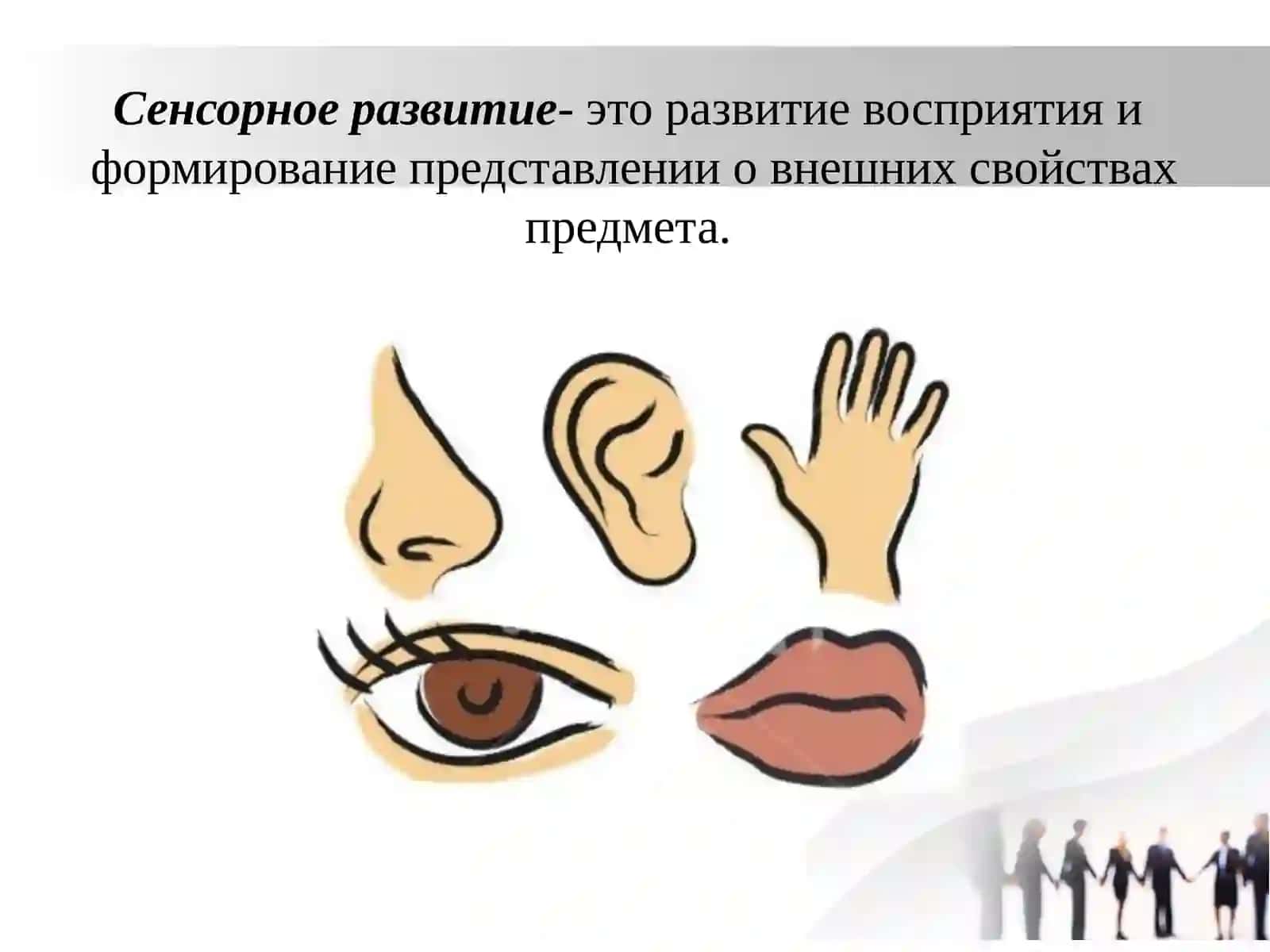 Сенсорная тренировка 2