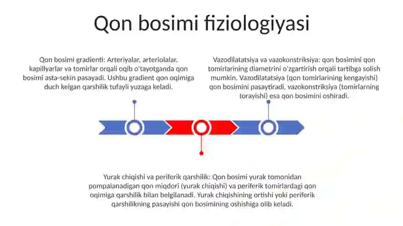 Qon Bosim Biofizikasi 2