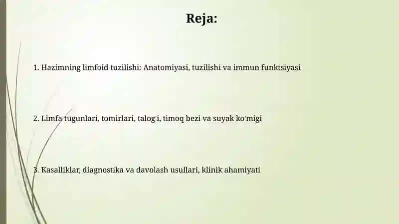 Hazim nayininglimfoidtuzilmalari 2
