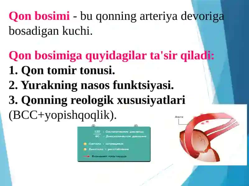 Antigipertenzivdorilar 2