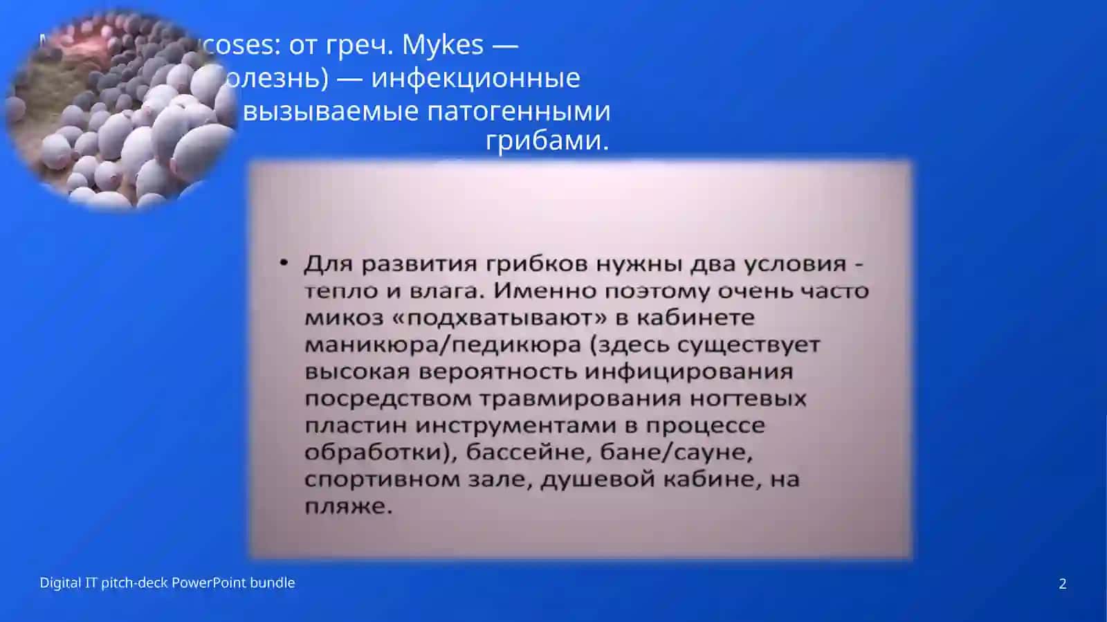 Грибковые заболевания кожи 2