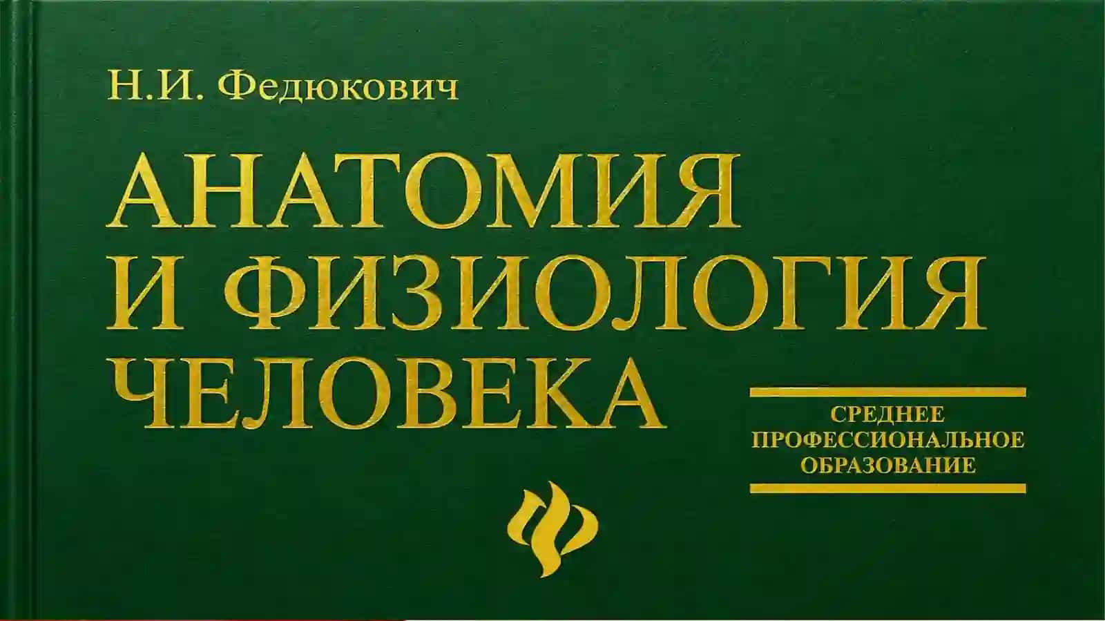Тонкая кишка (intestinum tenue) 2