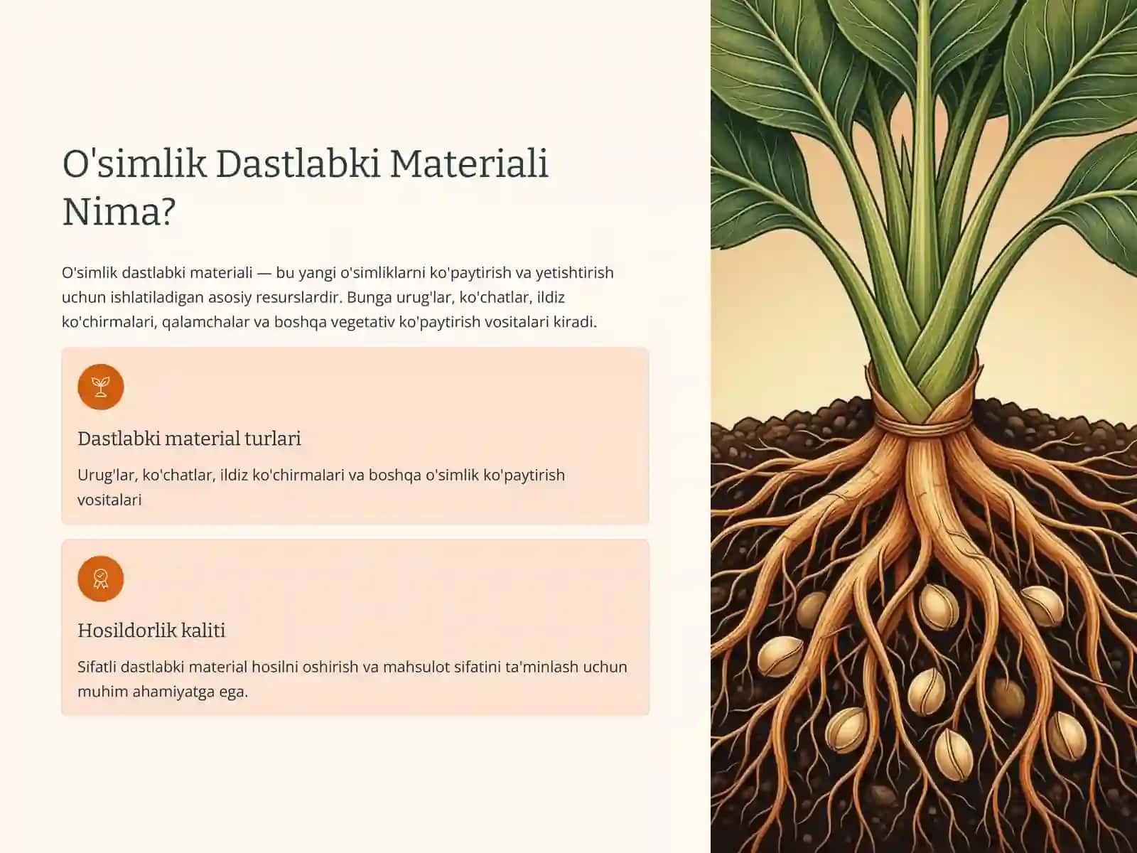 O'simliklarning Dastlabki Materialining Mavjud Manbalari 2
