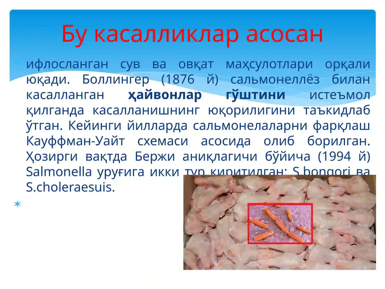 Сальмонеллалар 2