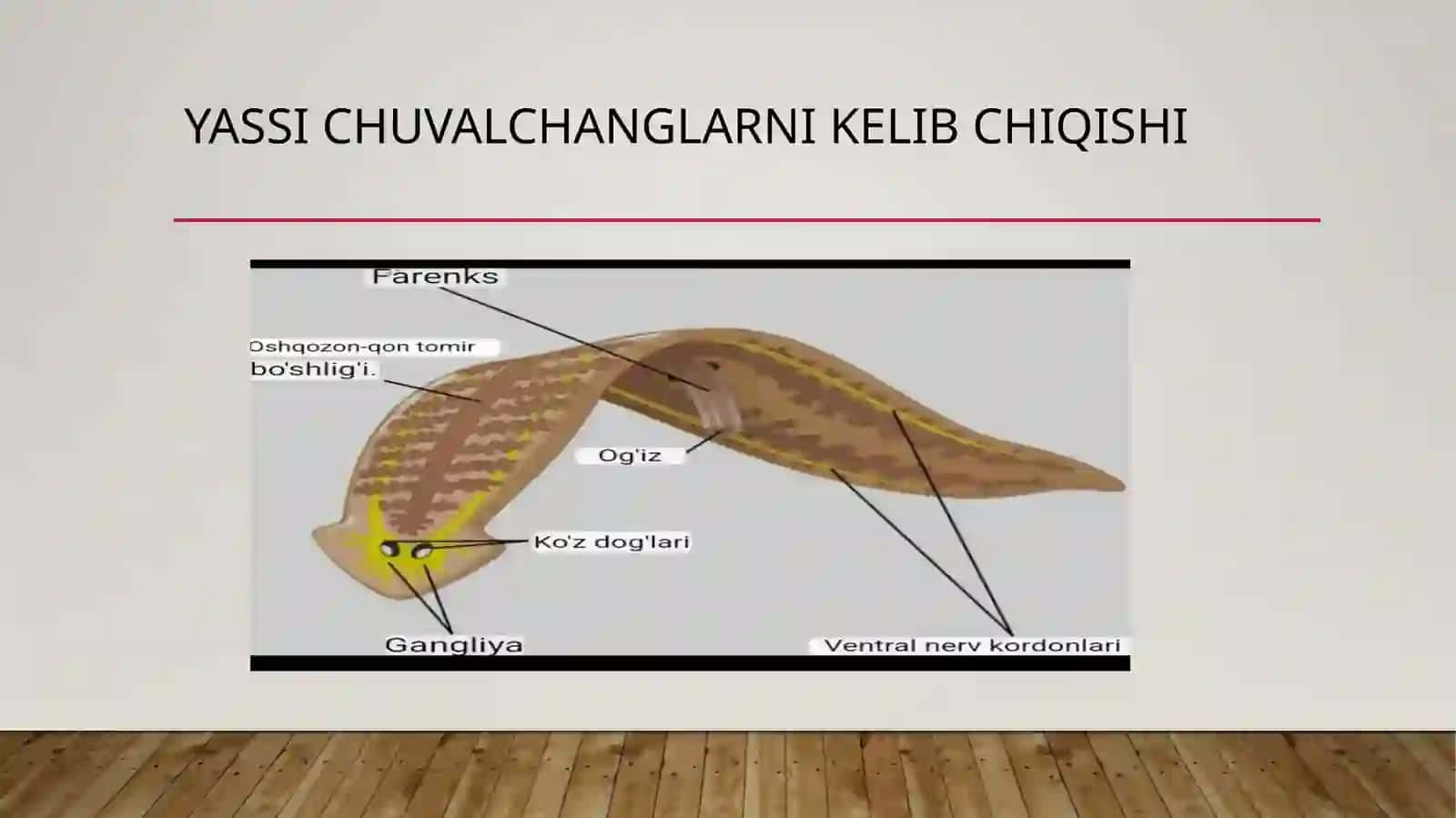 Yassi chuvalchanglarni kelib chiqishi 2