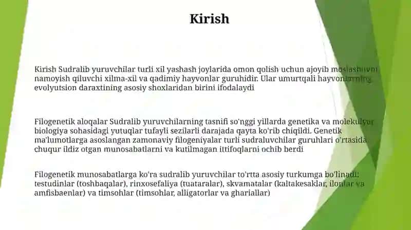 Reptiliyalarning Sistematikasi 2