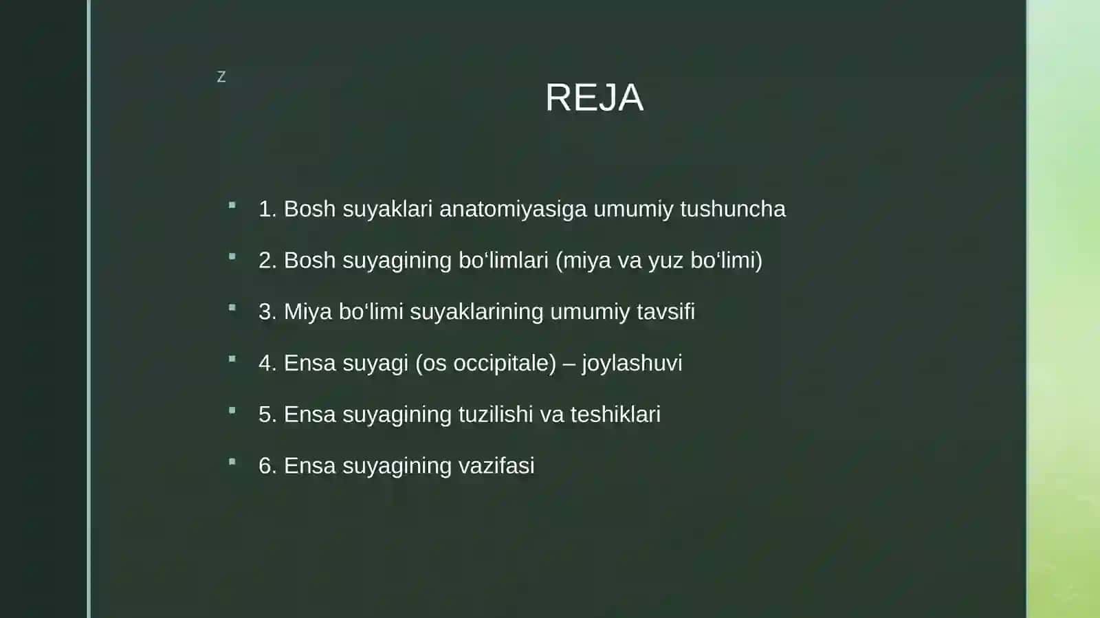 Bosh suyaklari anatomiyasi 2