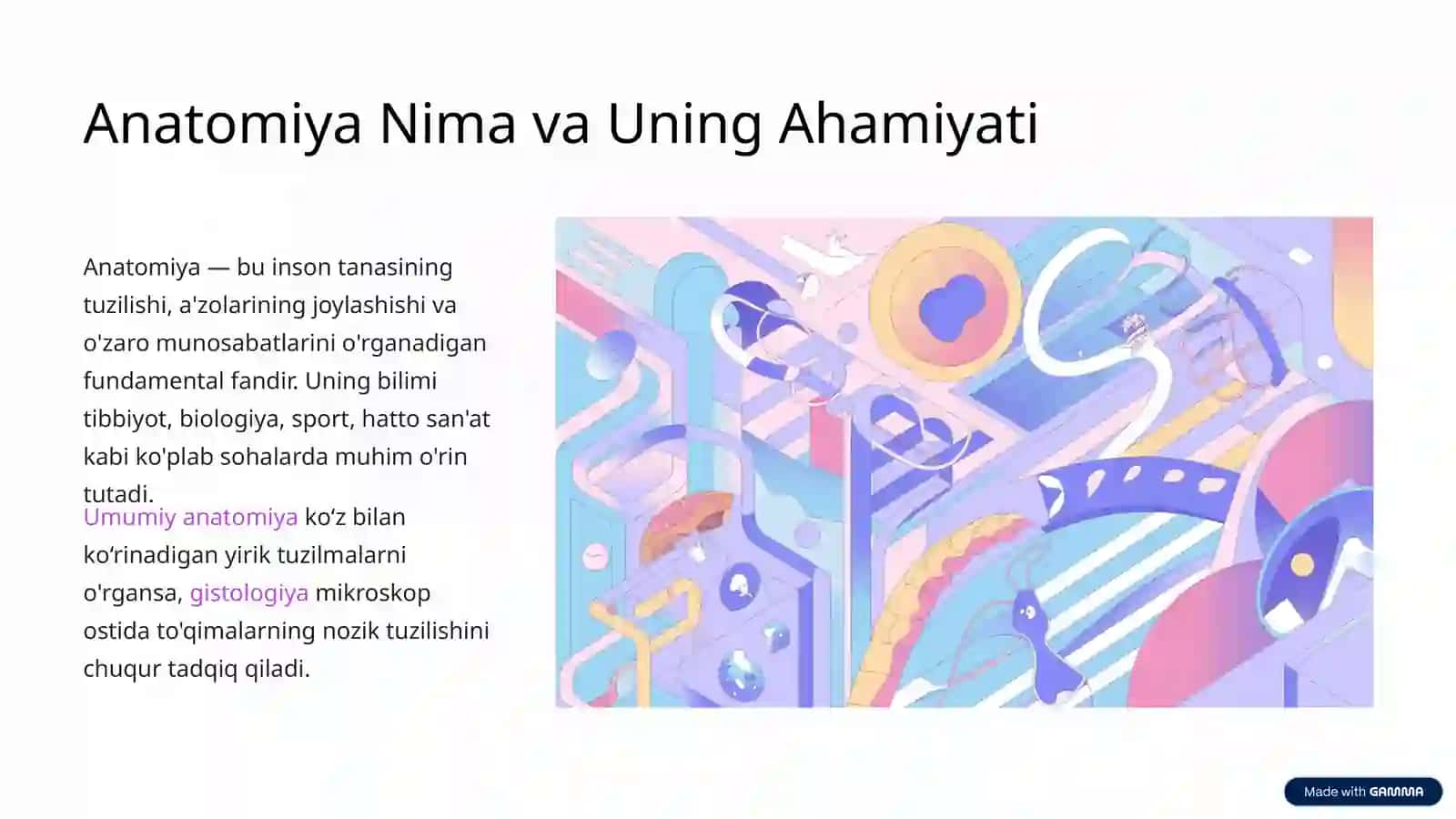 Anatomiyaning asosiy kameralari 2