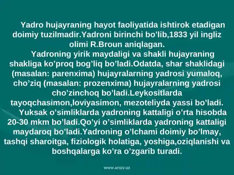 Hujayra yadrosi. Yadrocha 2