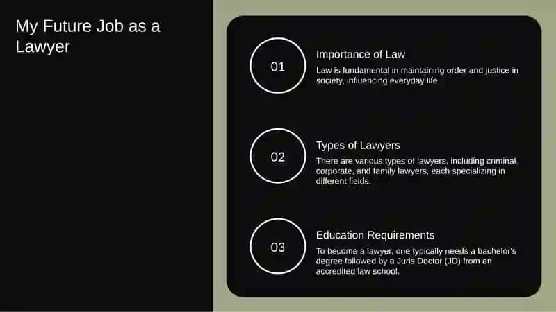 My future profession is a lawyer 2