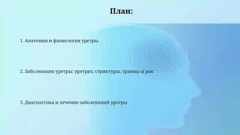 Мочеиспускательный канал 2