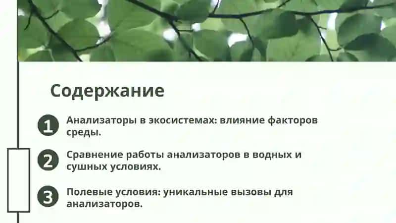 Введение в роль анализаторов 2