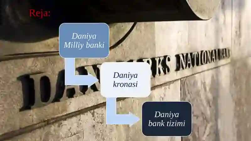 Daniya Bank Tizimi 2