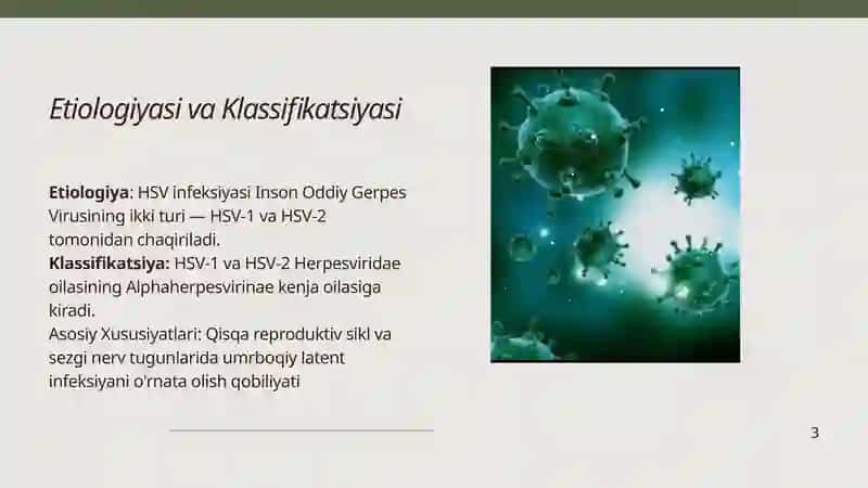 Oʼtkir gerpes va sitomegalovirus 2