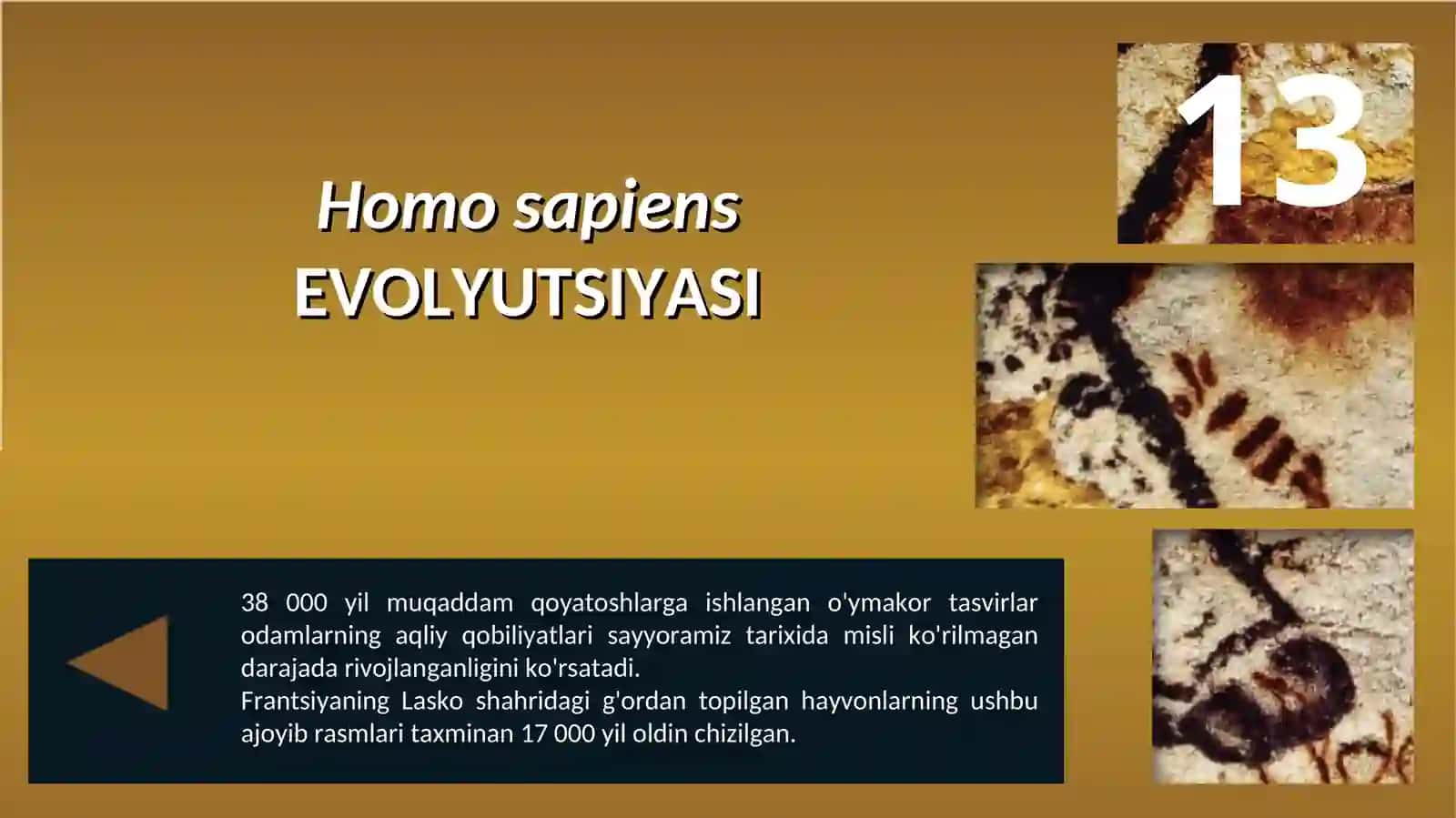 Homo sapiensEVOLYUTSIYASI 2