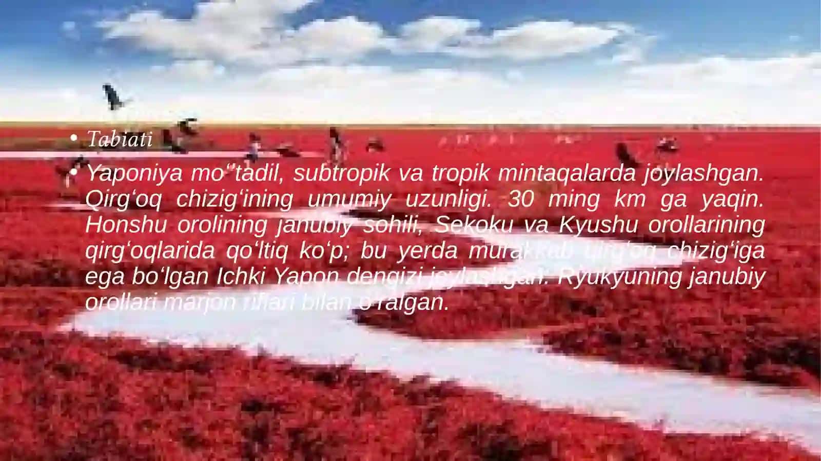 YAPONIYA HAQIDA MA’LUMOT 2