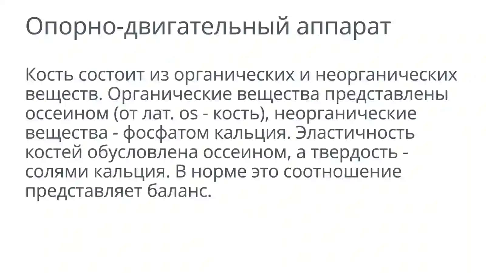 Кости и их соединения 2