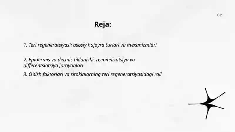 Teri regeneratsiyasi va transplantatsiyasi. Nazariy va klinik ahamiyati 2