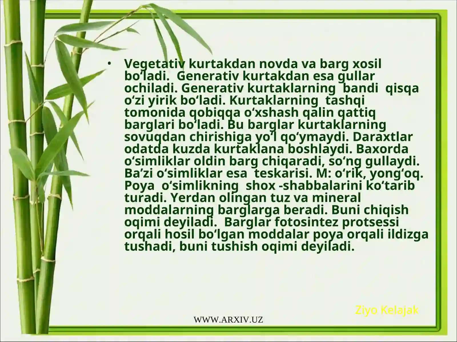 Poya o‘simliklar 2