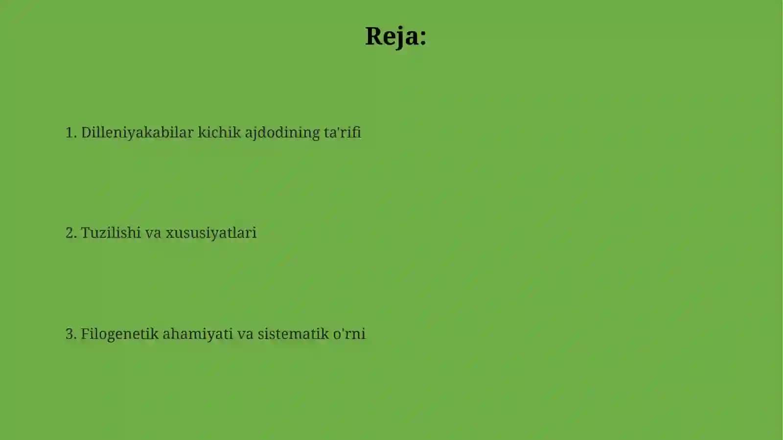 Dilleniyakabilar kichik ajdodining ta'rifi 2