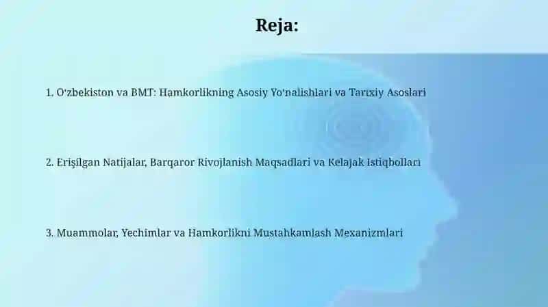 O'zbekiston va BMT: Tarixiy asoslar va asosiy yo'nalishlar 2