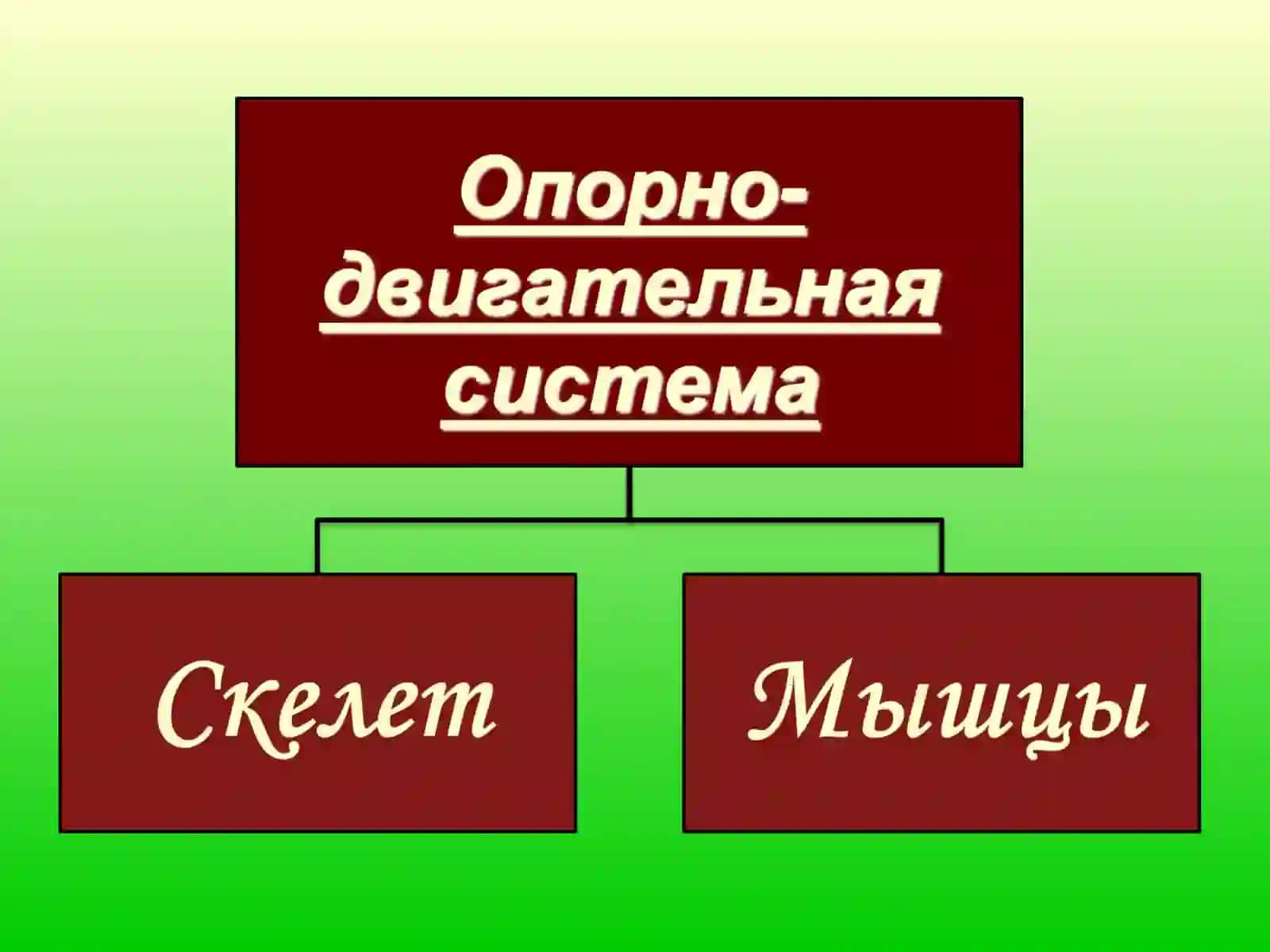 Двигательная 2