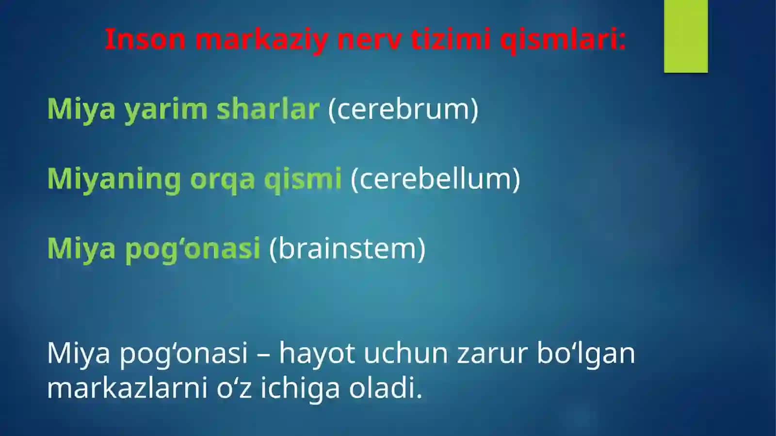 miya pog'onasi o'zaklari va ularning ahamiyati 2