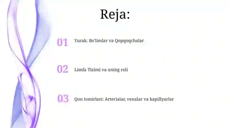 Yurak-qon tomir tizimi tuzilishi 2