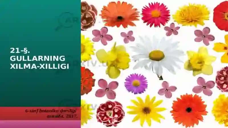 Gullarning xilma-xilligi 2