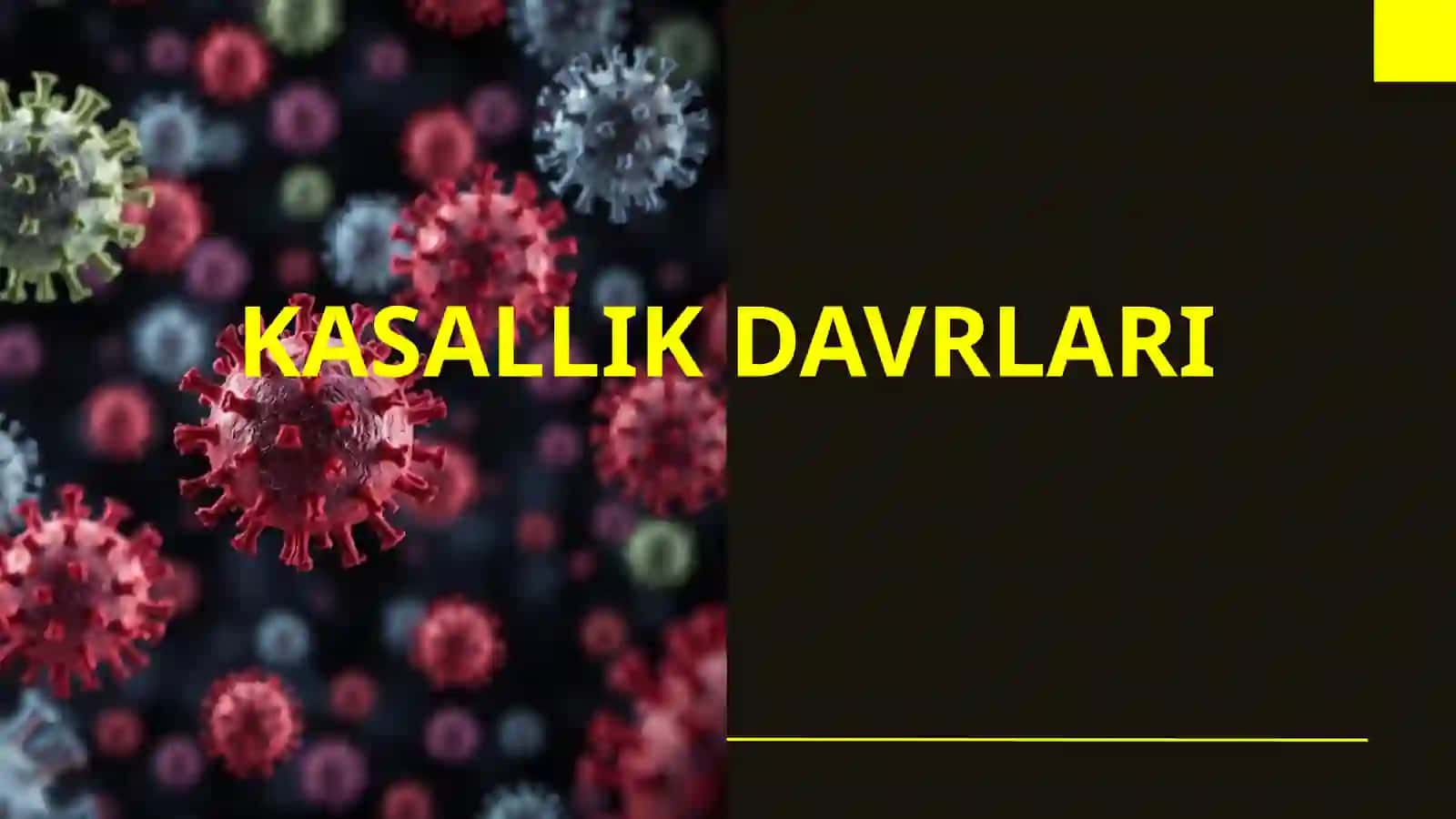 KASALLIK DAVRLARI 2