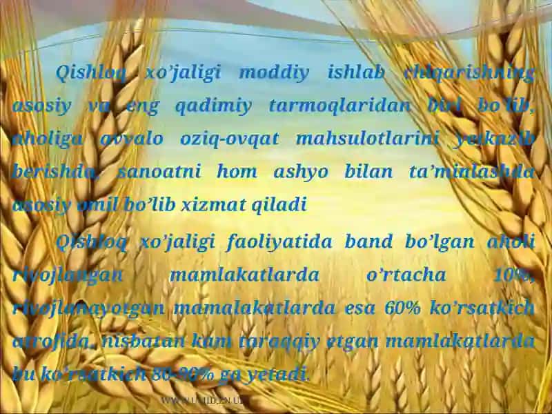 Qishloqxo'jaligi 2