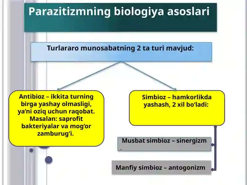 Tibbiy Parazitologiya 2