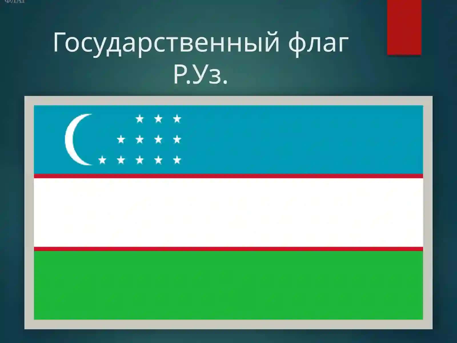 Государственный Флаг Республики Узбекистан 2