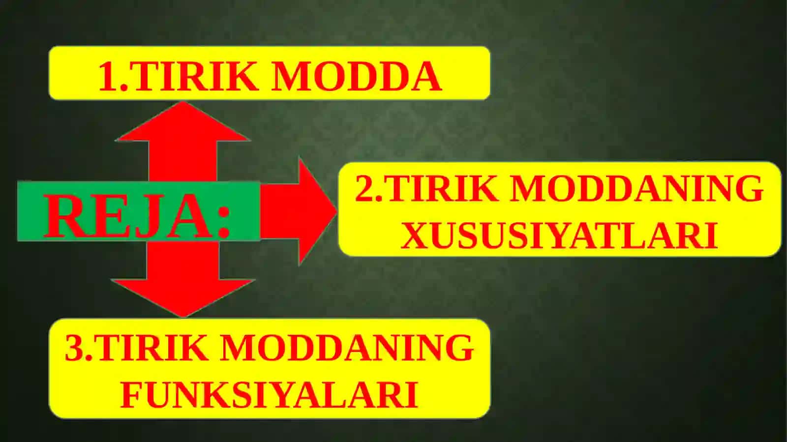 BIOSFERADAGI TIRIK MODDANING XUSUSIYATLARI VA FUNKSIYALARI 2