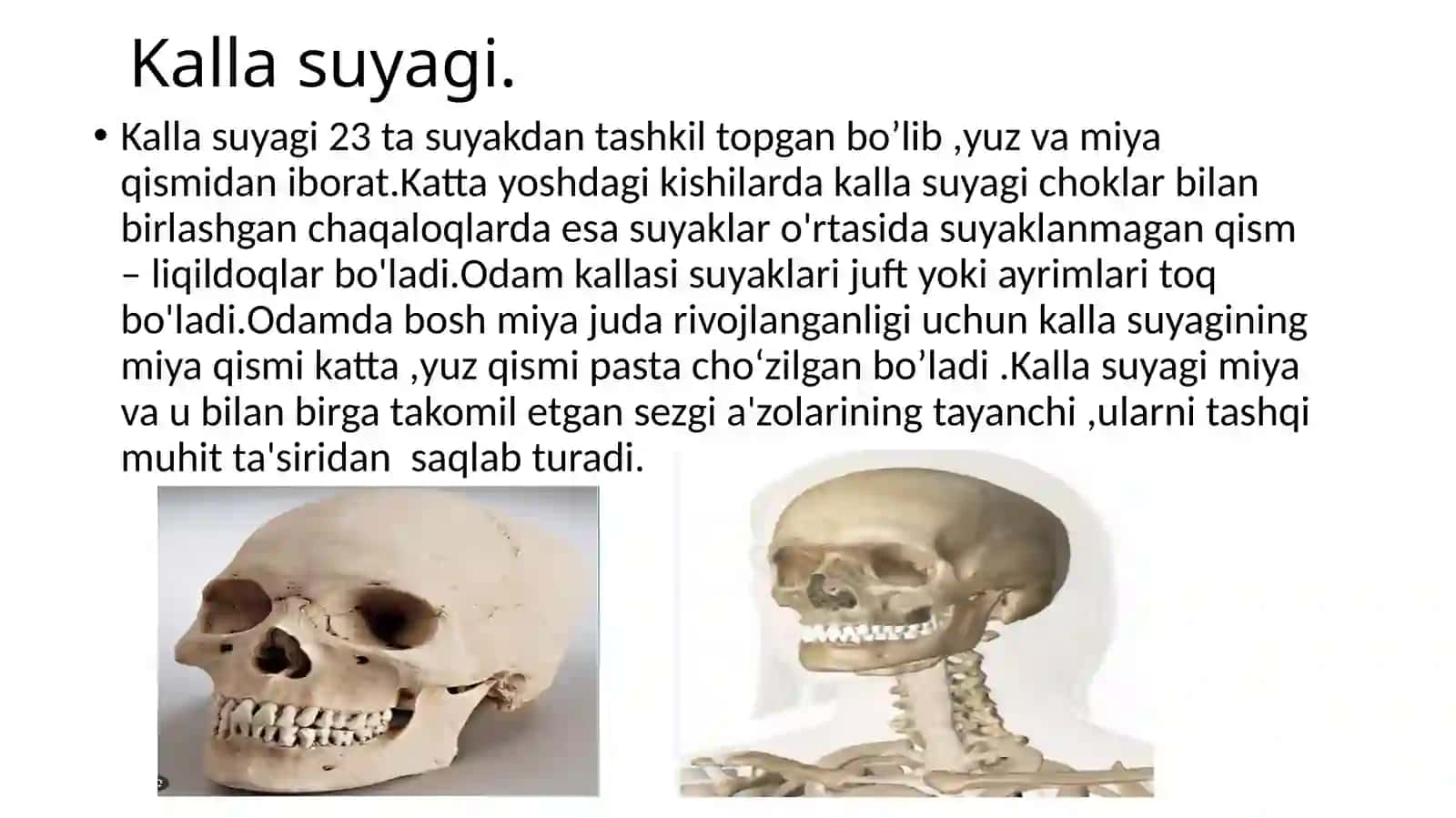 Kalla suyagi 2