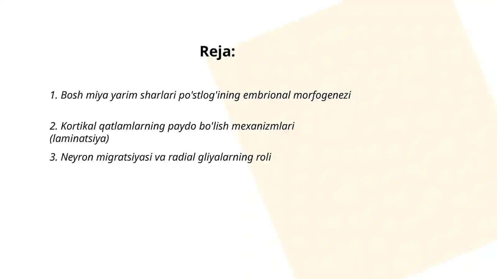 Bosh miya yarim sharlari po'stlog'ining morfogenezi 2