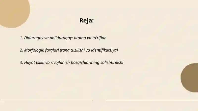 Diduragay va poliduragay chatishtirish 2