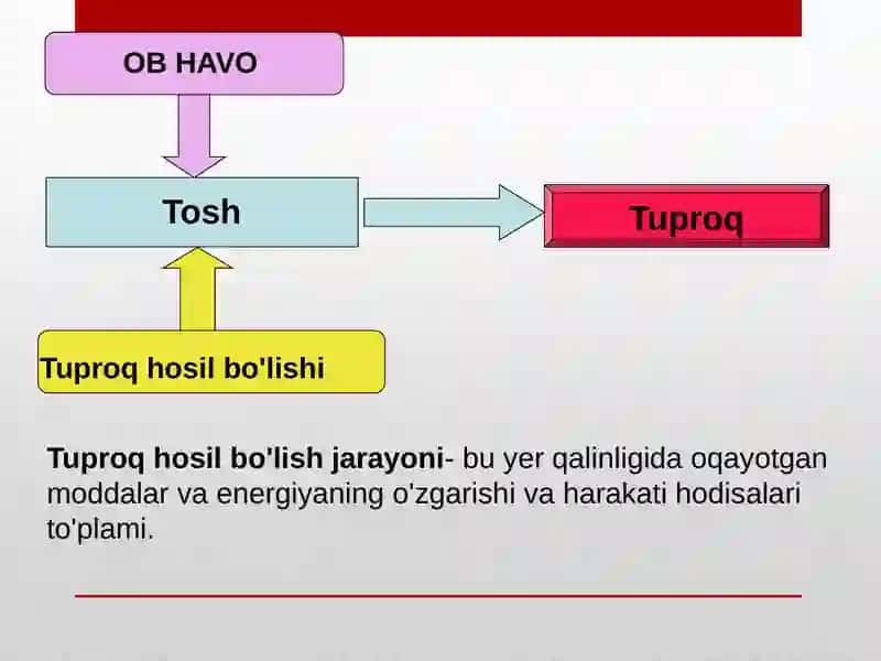 Tuproqni hosil qiluvchi omillar 2