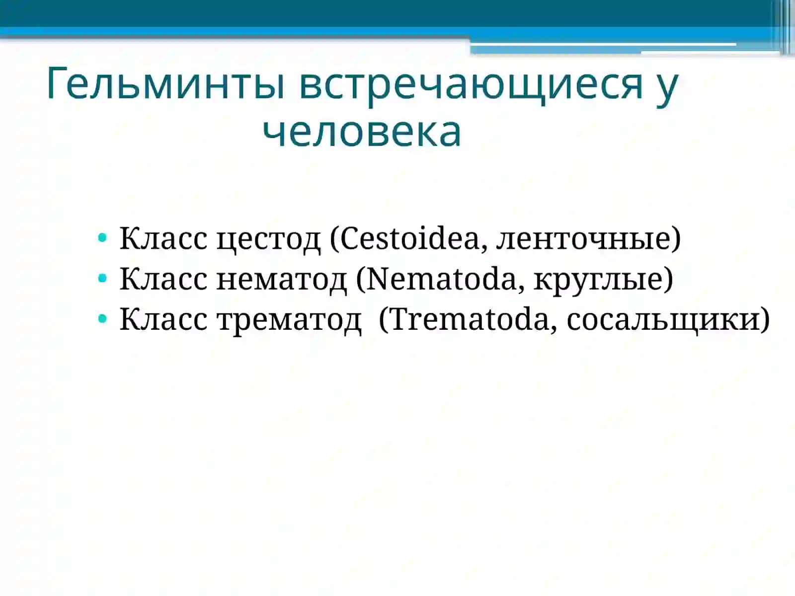 Жизненный цикл цестод 2