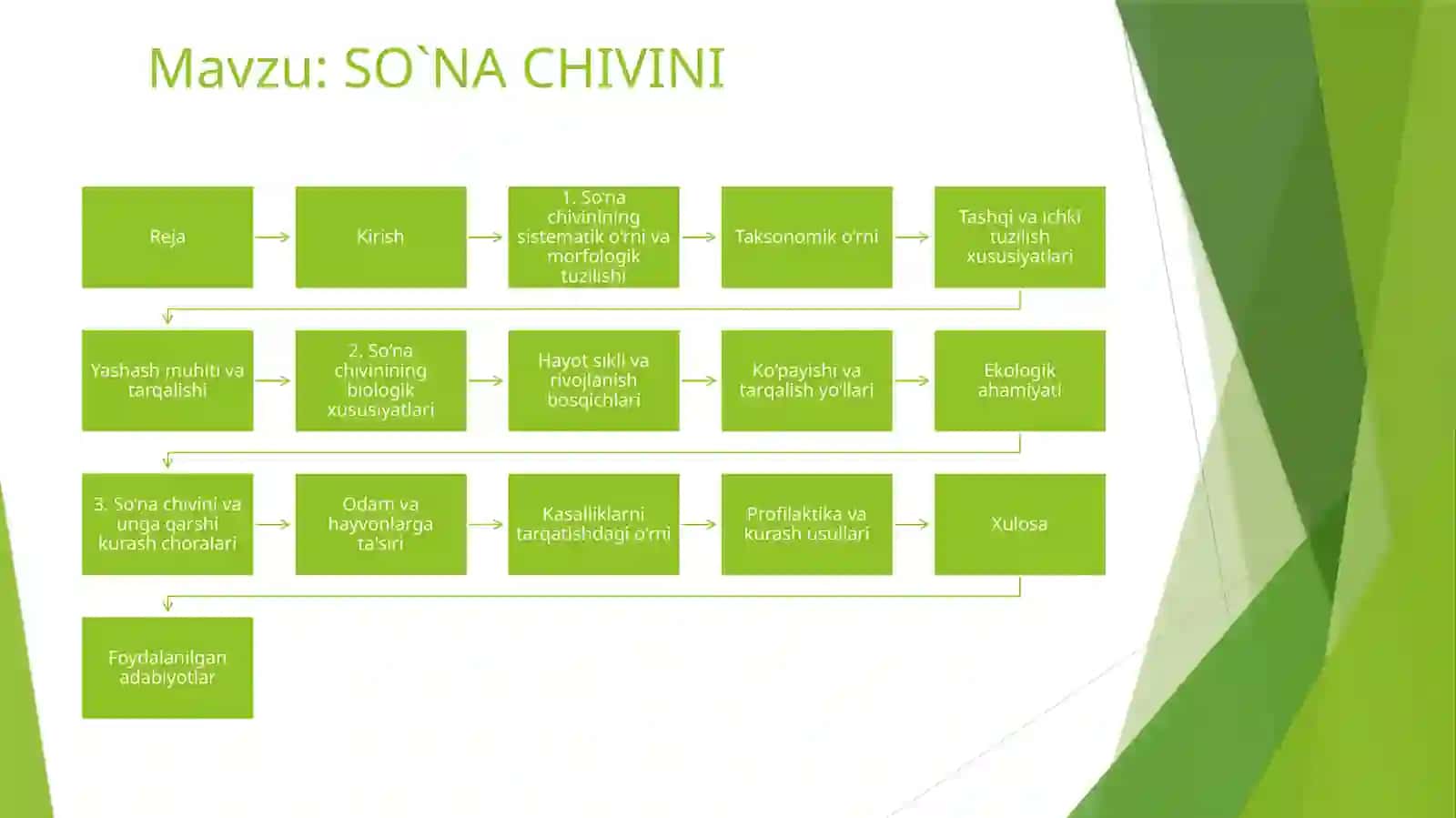 SO`NA CHIVINI 2