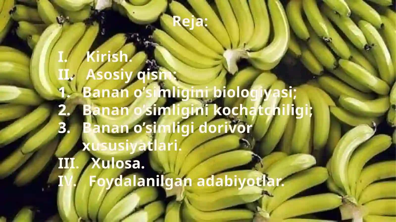Banano o'simligi biologiyasi 2