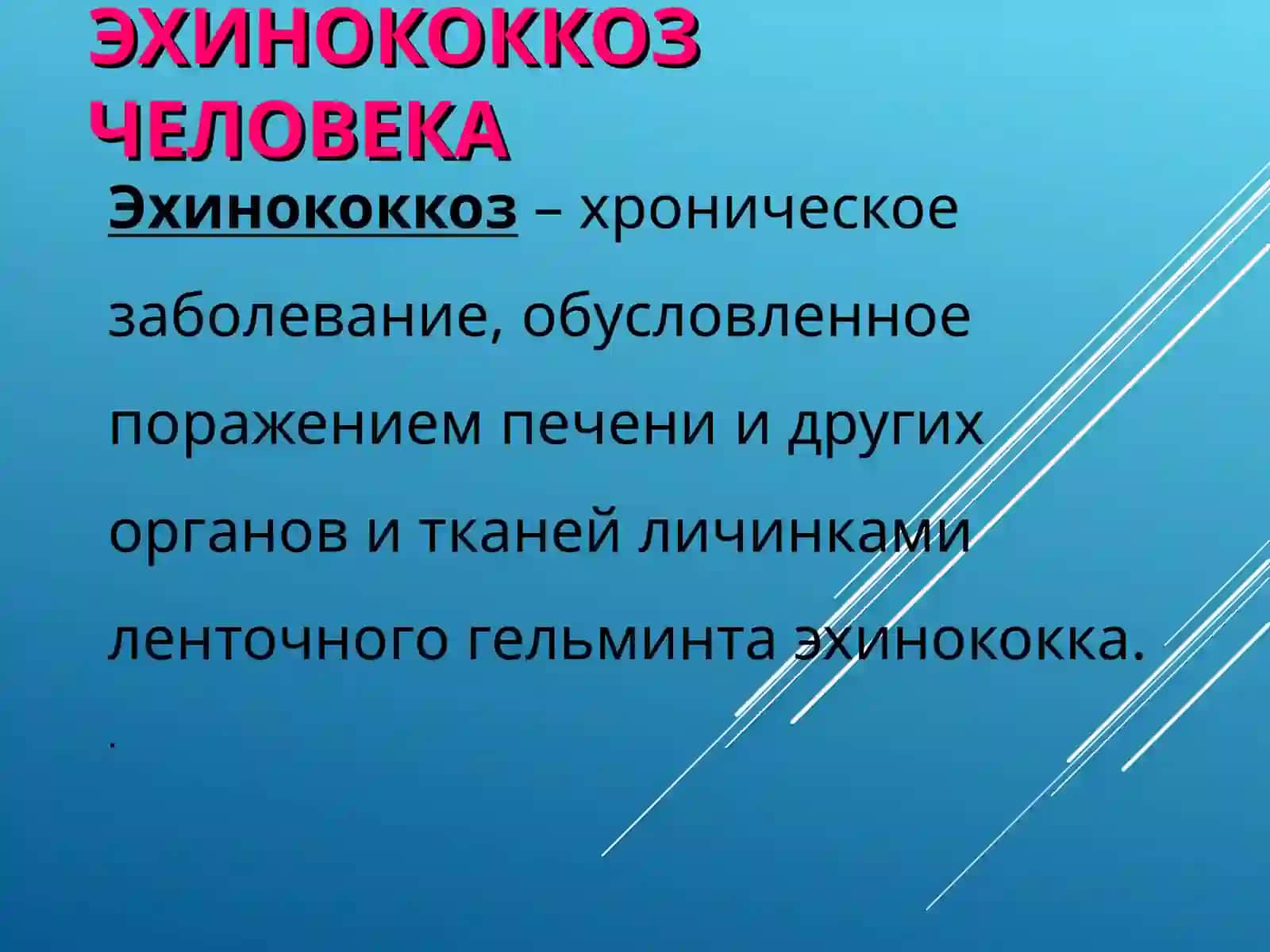 Эхинококкоз 2